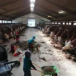 Schmalzgrub Böbrach