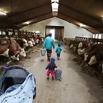 Schmalzgrub Böbrach
