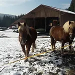 Schmalzgrub Böbrach