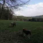 Schmalzgrub * Böbrach