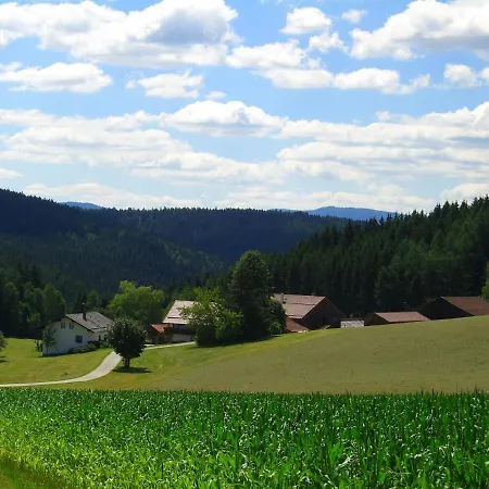 Schmalzgrub Appartement *
