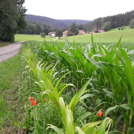 Schmalzgrub *