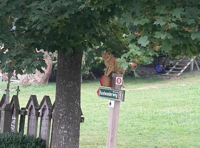 Schmalzgrub * Böbrach