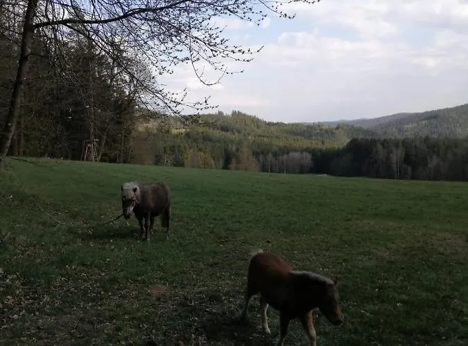Schmalzgrub * Böbrach